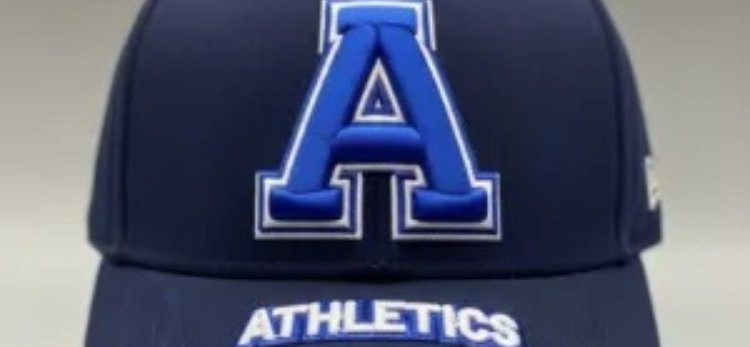 Premium 3D Puff Embroidery Digitizing Services for Custom Embroidery