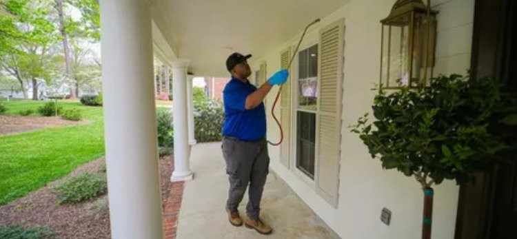 Professional Pest Control in Gulberg Lahore: Effective Treatment for Homes & Bus