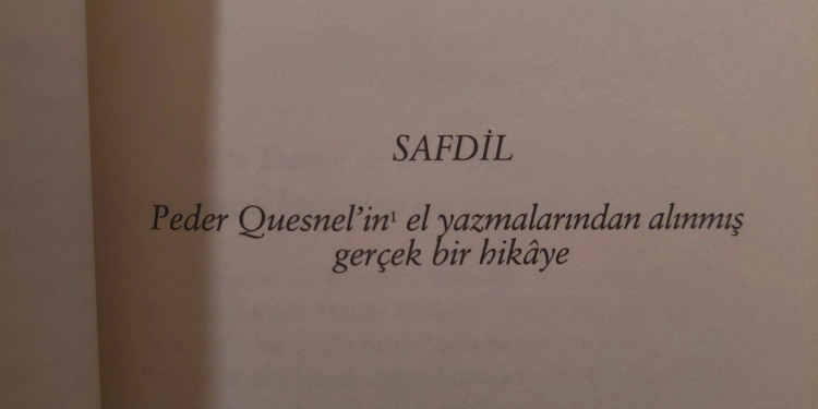 Safdil: Düşüncenin Özü