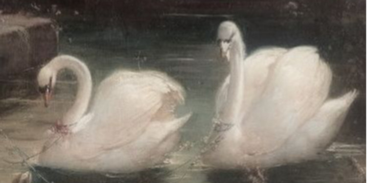 şaraplar ve kaçış