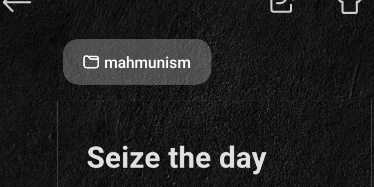 Seize the day