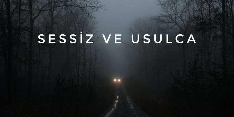 SESSİZ VE USULCA