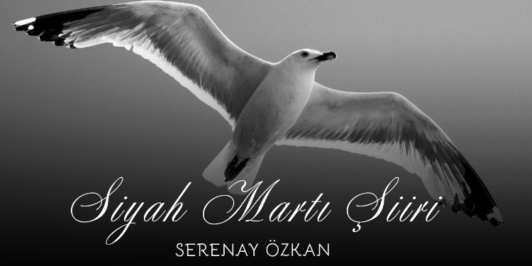 Siyah Martı Şiiri & Serenay Özkan
