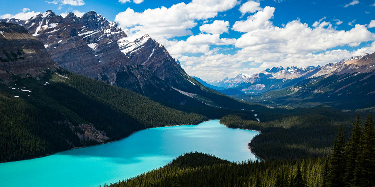 Sohbet Sitesi Seçerken Nelere Dikkat Edilmelidir?