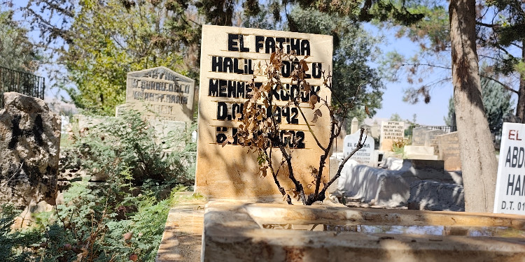 Sükut