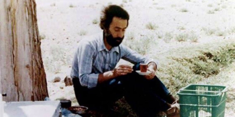 Suyun, Rengin Ve Hüznün Şairi: Sohrab Sepehri