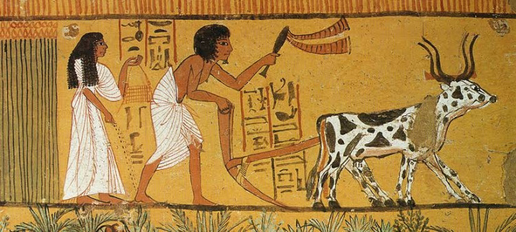 Tarım Devrimi Tarihin En Büyük Aldatmacası Mı?