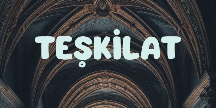 TEŞKİLAT 