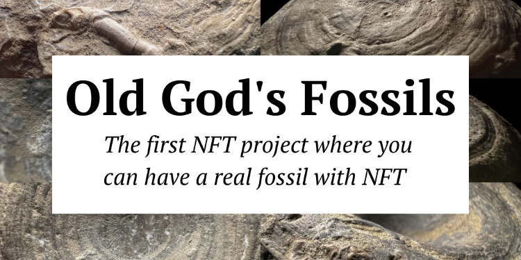 The First NFT Project Where You Can Have a Real Fossil: Old God's Fossils