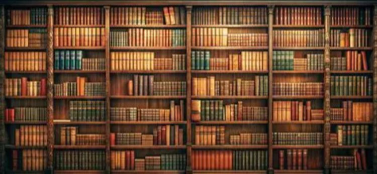 Toplumsal Hafıza Akımı, İntihal ve Akademi