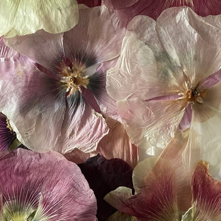 Tüm dillerin anlamını yitirdiği bir duygu