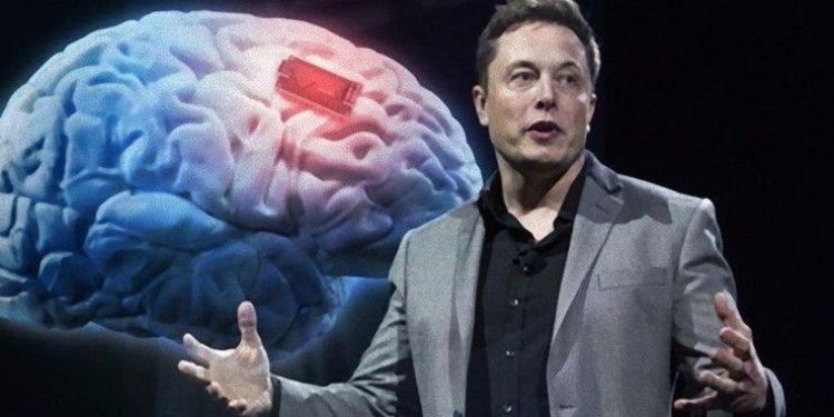 'üç Küçük Domuz': Musk'ın Neuralink'i