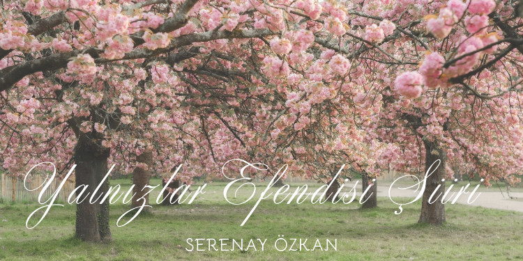 Yalnızlıklar Efendisi Şiiri (Serenay Özkan)