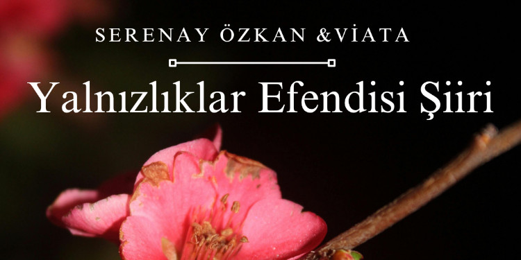 Yalnızlıklar Efendisi Şiiri (Serenay Özkan)