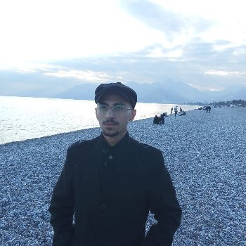 Ali Koray Kaya
